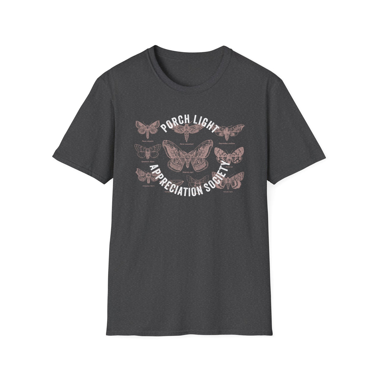 Porch Light Society Moths Tee